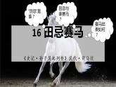 五年级下册课件16 田忌赛马