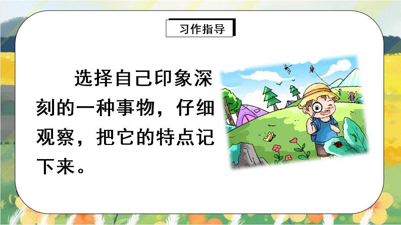 部编版语文五年级上册  习作：介绍一种事物  课件PPT+教案04