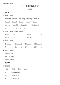 语文二年级上册17 难忘的泼水节当堂检测题