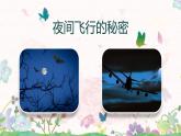 《夜间飞行的秘密》课件+教案+练习+音频（共100张PPT）