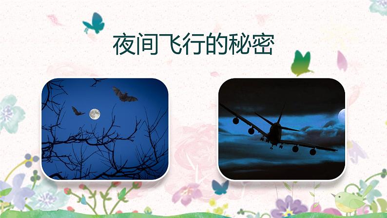 《夜间飞行的秘密》课件+教案+练习+音频（共100张PPT）04