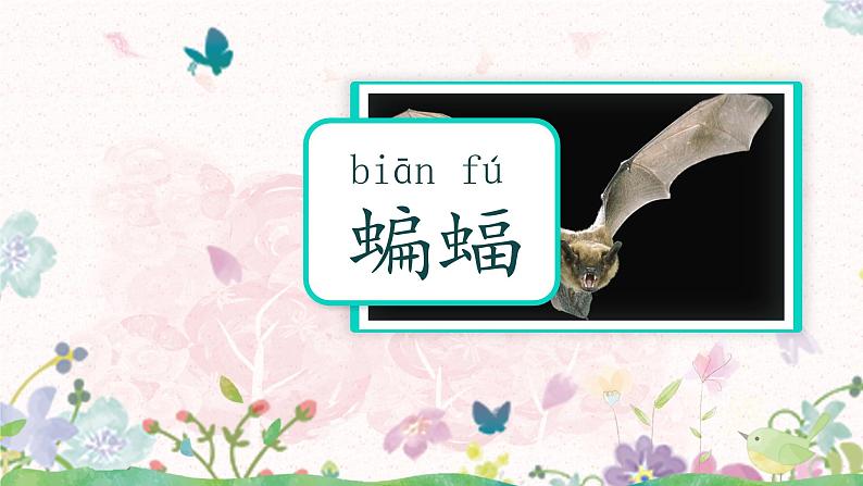 《夜间飞行的秘密》课件+教案+练习+音频（共100张PPT）07