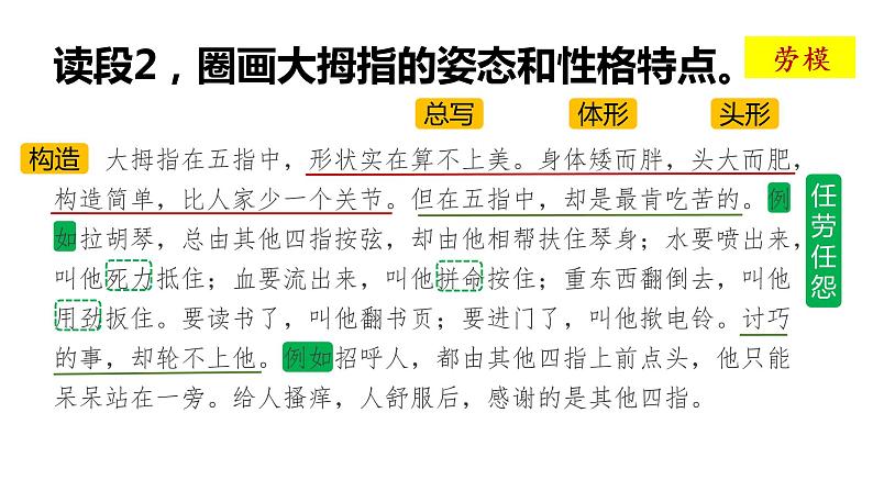 五年级下册 22 手指第7页