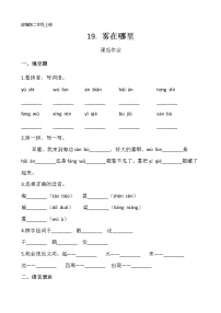 2021学年课文620 雾在哪里练习题