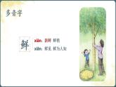 部编版语文五上第一单元《桂花雨》课件