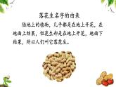 部编版语文五上第一单元《落花生》课件