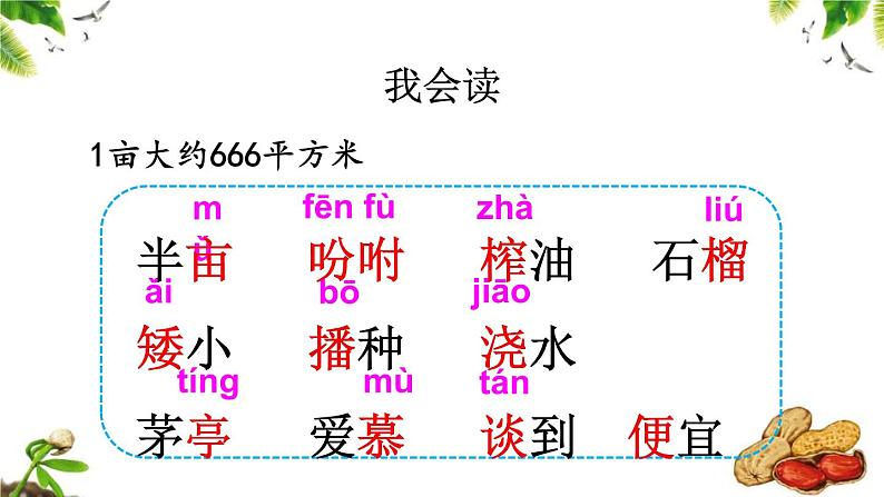 部编版语文五上第一单元《落花生》课件第4页