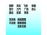 人教部编版语文二年级上册课文（六）24.风娃娃 课件1