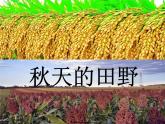 部编版一年级语文上册--1《秋天》课件