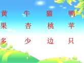 部编版一年级语文上册--7《大小多少》课件