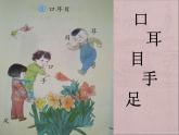 部编版一年级语文上册--3《口耳目》课件1