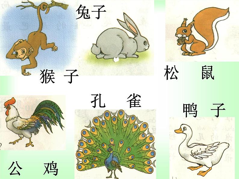 部编版一年级语文上册--6《比尾巴》课件02