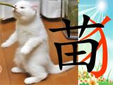 部编版一年级语文上册--7《大小多少》课件2