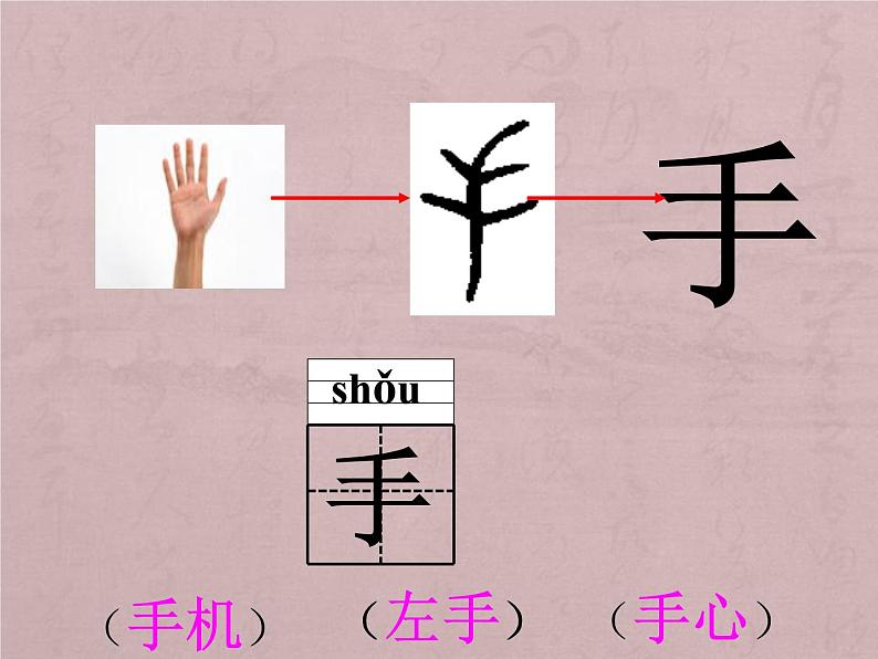 部编版一年级语文上册--3《口耳目》课件2第6页