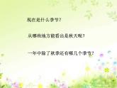 部编版一年级语文上册--4《四季》课件3
