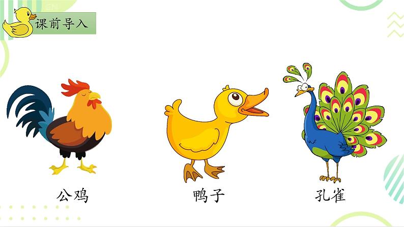 部编版1上语文6《比尾巴》课件+教案03