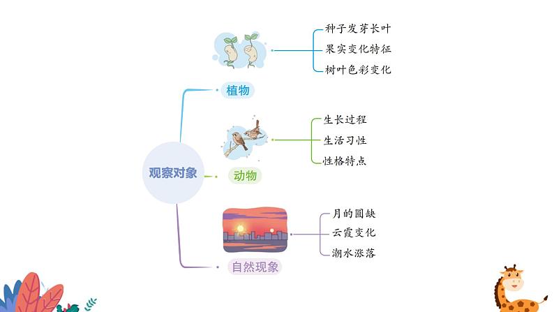 部编版语文四年级上册  习作三：写观察日记  课件PPT07