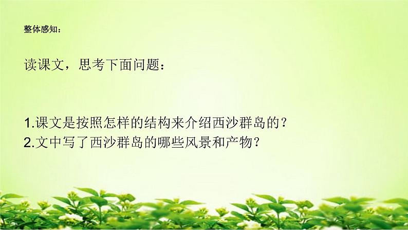 人教部编版语文三年级上册 18、富饶的西沙群岛  课件04