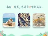 人教部编版语文三年级上册 19、海滨小城  课件