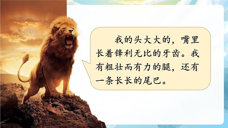 口语交际 有趣的动物 课件+教案05