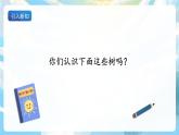 识字2 树之歌 课件+教案+导学案+素材