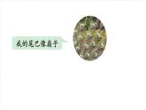 識字3 拍手歌 課件+教案+導(dǎo)學(xué)案+素材
