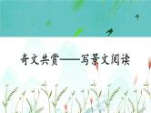 部编版五上语文期末专题复习 2-4 阅读：奇文共赏——写景文阅读  PPT课件