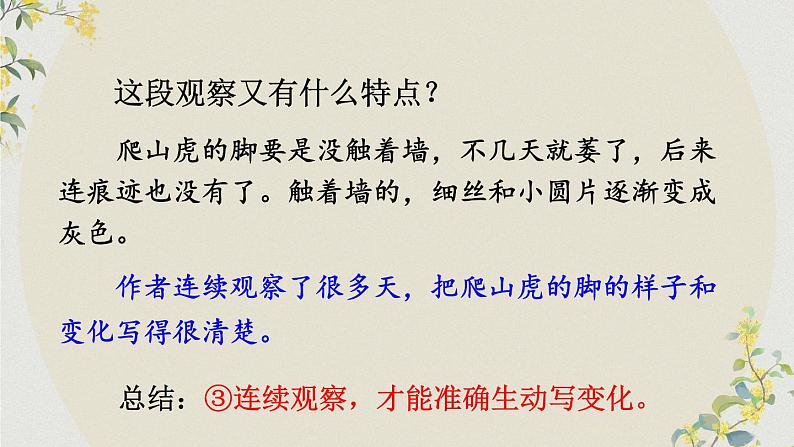 部编版四上语文期末专题复习 3-6 习作：连续观察  准确生动写变化  PPT课件08