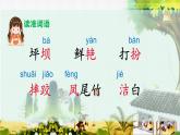 部编版语文《大青树下的小学》ppt课件第一课时