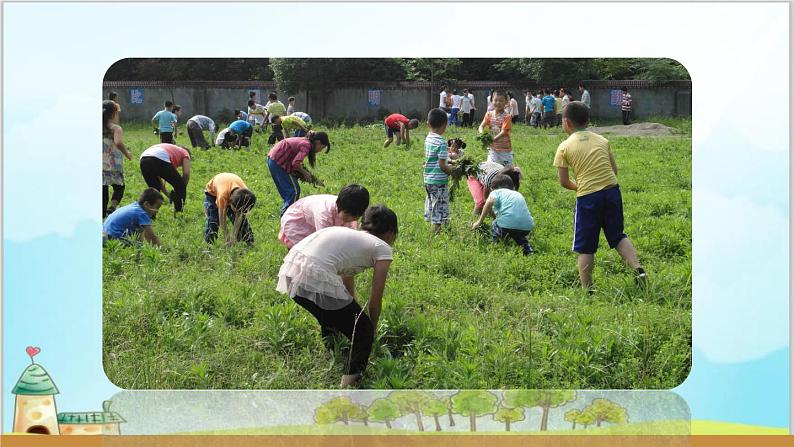部编版6上习作《多彩的活动》课件PPT+教案04
