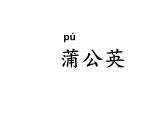 部编版二年级语文上册--3《植物妈妈有办法》课件