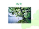 部编版二年级语文上册--2《树之歌》课件2