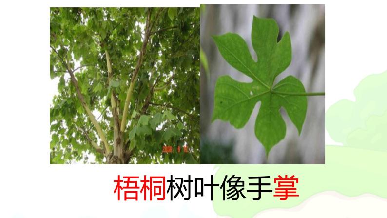 部编版二年级语文上册--2《树之歌》课件206