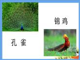 部编版二年级语文上册--3《拍手歌》课件2