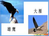 部编版二年级语文上册--3《拍手歌》课件2