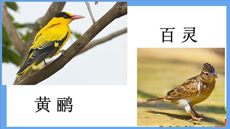 部编版二年级语文上册--3《拍手歌》课件2第6页