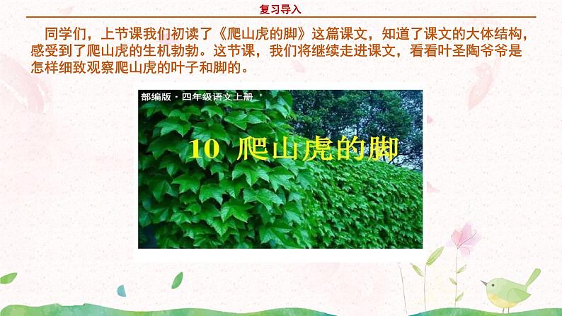部编版语文四年级上册《爬山虎的脚》第二课时课件PPT+教案04