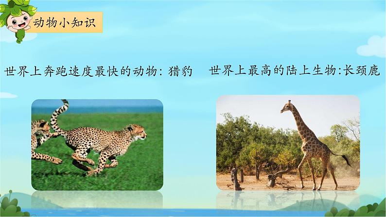 部编版2上语文《有趣的动物》课件+教案06