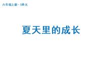 小学语文人教部编版六年级上册第五单元16 夏天里的成长集体备课ppt课件