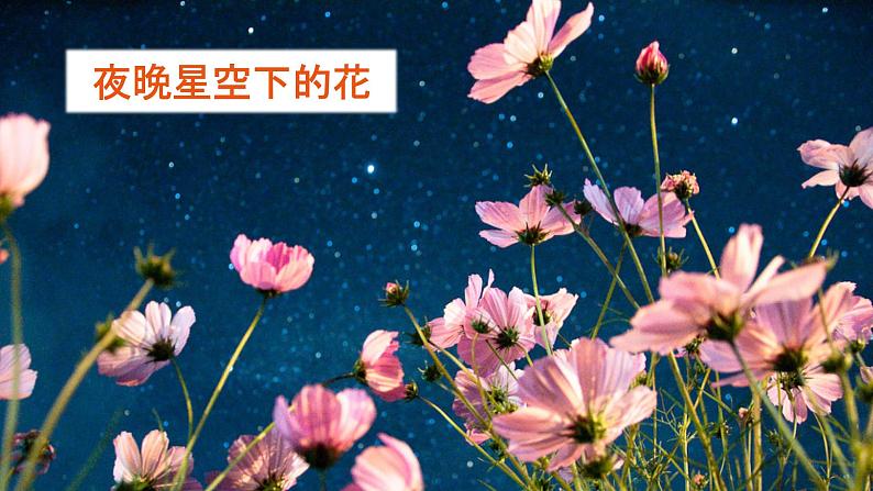 花之歌  课件 部编版语文六年级上册06