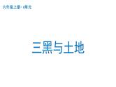 三黑和土地  课件 部编版语文六年级上册