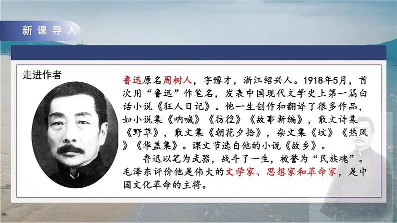 25少年闰土第一课时教学课件+教案04