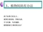 部编版二年级语文上册--3《植物妈妈有办法》课件3