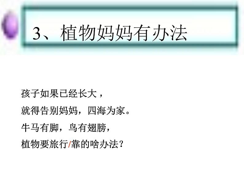 部编版二年级语文上册--3《植物妈妈有办法》课件304