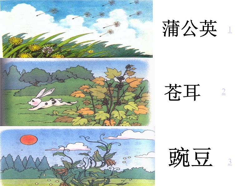 部编版二年级语文上册--3《植物妈妈有办法》课件306