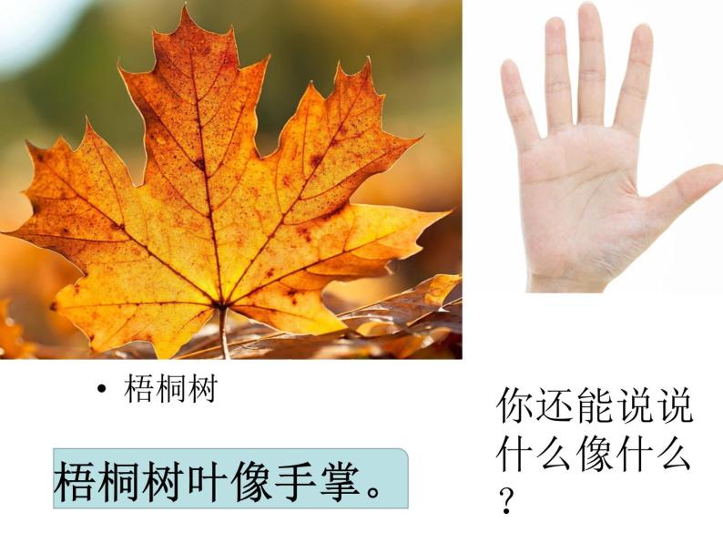 部编版二年级语文上册--2《树之歌》课件407