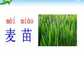 部编版二年级语文上册--4《田家四季歌》课件3