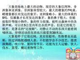 部编版二年级语文上册--5.曹冲称象-课件3