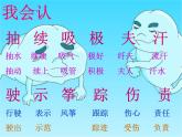 部编版二年级语文上册--24《风娃娃》课件1