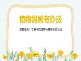 二年级上册语文教学课件-3.植物妈妈有办法7-部编版(共19张PPT)